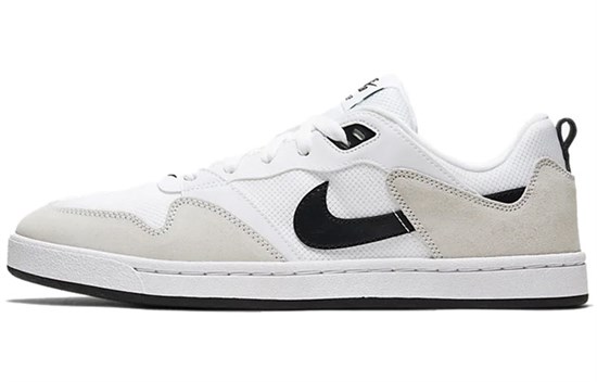 Nike Sb Alleyoop White CJ0882-100 - фото 538188