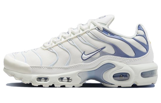 Nike Air Max Plus Ashen Slate Women's DZ3671-104 - фото 548328