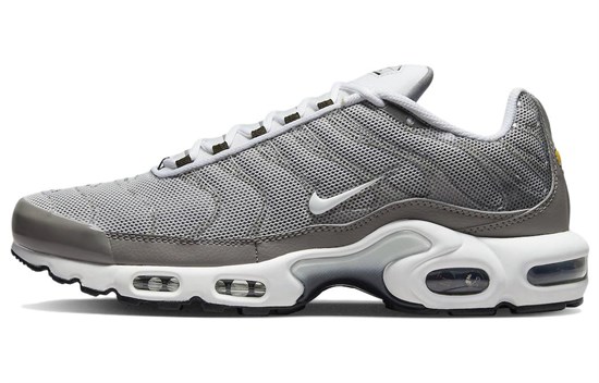 Nike Air Max Plus Flat Pewter DV7665-002 - фото 575773