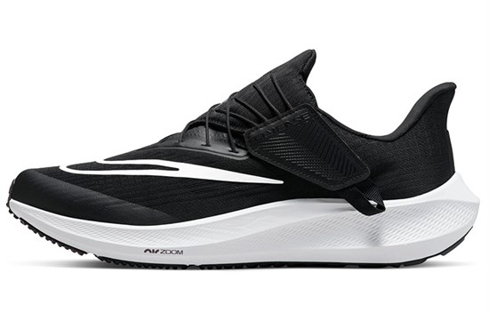 Nike Air Zoom Pegasus 39 FlyEase 'Black White' DJ7381-001 - фото 577177