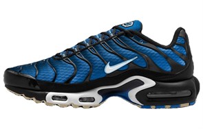 Nike Air Max Plus Aquarius Blue DM0032-402