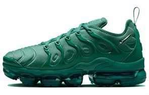Nike Air Max VaporMax Plus Bicoastal Women's HF5048-361