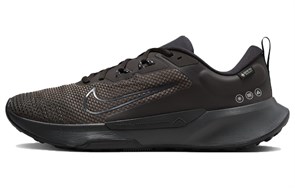 Nike Juniper Trail 2 GORE TEX 'Velvet Brown' FB2067-200