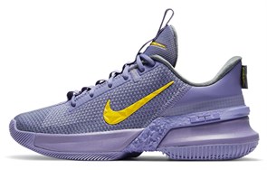 Nike LeBron Ambassador 13 Lakers CQ9329-500