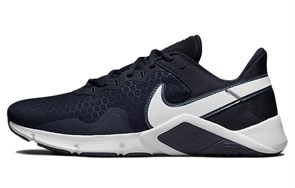 Nike Legend Essential 2 'Obsidian' CQ9356-401