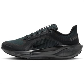 Nike Pegasus 41 Gore Tex 'Black Anthracite' FQ1356-001