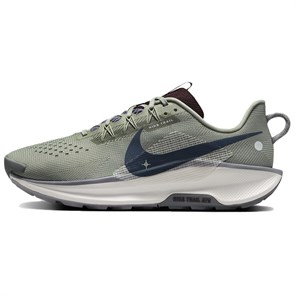 Nike Pegasus Trail 5 Anti Slip Wear Resistant Low Top Running Shoes Men's Green Brown DV3864-300