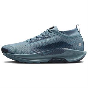 Nike Pegasus Trail 5 Gtx 'Smokey Blue Armory Navy' FQ0908-005