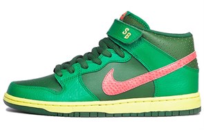 Nike Sb Dunk Mid Watermelon 314383-363
