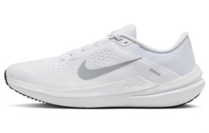 Nike Winflo 10 'White Wolf Grey' DV4022-102