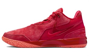 Nike Zoom LeBron Nxxt Gen Ep 'James Gang' FJ1567-600