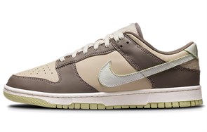 Nike Air Dunk Velcro Tongue Milk Tea FB4960-210