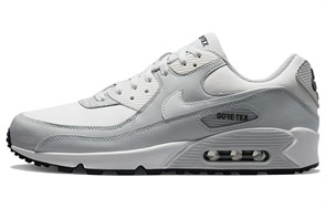 Nike Air Max 90 Gore Tex Photon Dust DJ9779-003