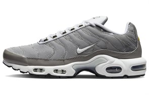 Nike Air Max Plus Flat Pewter DV7665-002