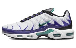 Nike Air Max Plus White Grape Ice DM0032-100