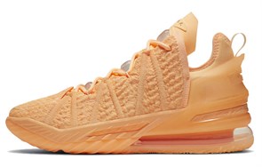 Nike LeBron 18 'Sisterhood' DB8148-801
