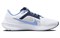 Nike Pegasus 40 Unc DZ5968-100 - фото 536889