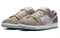 Nike SB Dunk Low 'Big Money Savings' FZ3129-200 - фото 538319