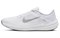 Nike Winflo 10 'White Wolf Grey' DV4022-102 - фото 540605