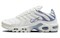 Nike Air Max Plus Ashen Slate Women's DZ3671-104 - фото 548328