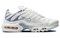 Nike Air Max Plus Ashen Slate Women's DZ3671-104 - фото 548329