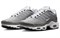 Nike Air Max Plus Flat Pewter DV7665-002 - фото 575775
