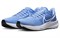 Nike Air Zoom Pegasus 39 Tb University Blue DM0164-404 - фото 577197