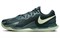 Nike Court Zoom Vapor Deep Jungle Lime Ice DD1579-301 - фото 579210