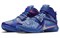 Nike LeBron Soldier Ix Lmtd Ep 'Game Royal' 812571-418 - фото 582610