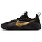 Nike LeBron Tr 1 Black Metallic Gold FJ6151-004 - фото 582632