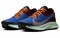 Nike Pegasus Trail 2 Gore Tex Mystic Dates CU2016-600 - фото 583459