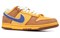 Nike Sb Dunk Low Newcastle Brown Ale 313170-741 - фото 584548