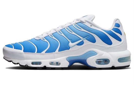 Nike Air Max Plus Sky Blue 852630-411 - фото 521564