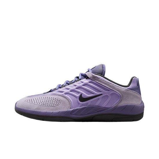 Nike Sb Vertebrae Low Top Casual Shoes Men's Purple FD4691-501 - фото 628200
