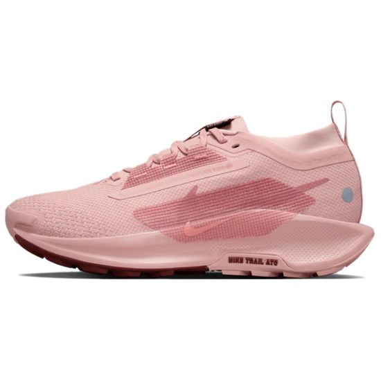 Nike React Pegasus Trail 5 Gore Tex Pink Oxford Red Sepia Red Stardust Women's FQ0912-601 - фото 632441