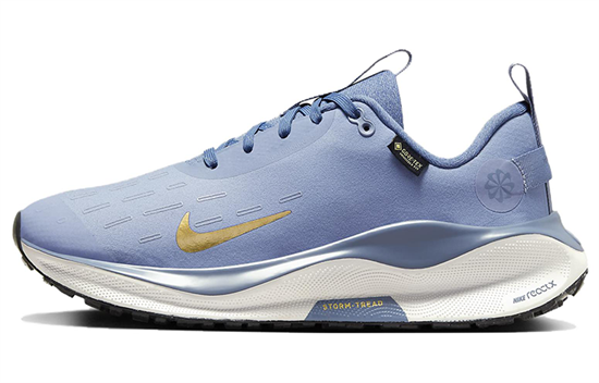 Nike ReactX Infinity Run 4 GORE TEX 'Ashen Slate Metallic Gold' Women's FB2197-400 - фото 632486