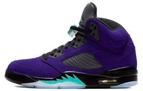 Jordan 5 Retro Alternate Grape 136027-500
