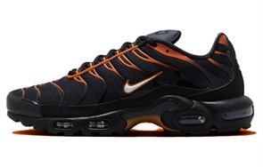 Nike Air Max Plus 'Dark Obsidian Monarch' FN6949-400