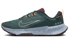 Nike Juniper Trail 2 Gtx 'Deep Jungle' FB2067-300