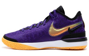 Nike Zoom LeBron NXXT Gen EP Purple DR8788-500