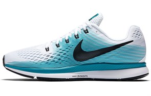 Nike Air Zoom Pegasus 34 Blustery 880555-101