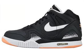 Nike Air Tech Challenge 2 Sunset Glow 318408-002