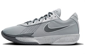 Nike Air Zoom GT Cut Academy Light Smoke Grey FB2599-004