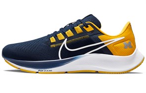 Nike Air Zoom Pegasus 38 Michigan DJ0838-400