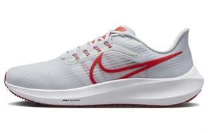 Nike Air Zoom Pegasus 39 'Platinum Tint Light Crimson' DH4071-009