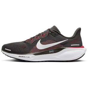 Nike Air Zoom Pegasus 41 Tampa Bay Buccaneers FZ5076-200