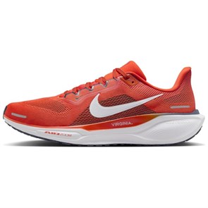 Nike Air Zoom Pegasus 41 Virginia FZ5151-800