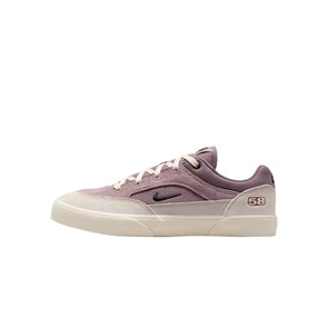 Nike SB Low Top Skateboard Shoes Men's Taupe HF3066-200