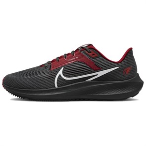 Nike Pegasus 40 Arizona Cardinals DZ5994-001