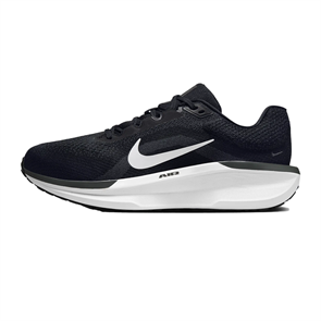 Nike Winflo 11 Black Anthracite Cool Grey White FQ8937-001